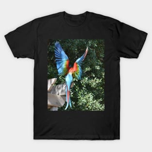 Macaw T-Shirt